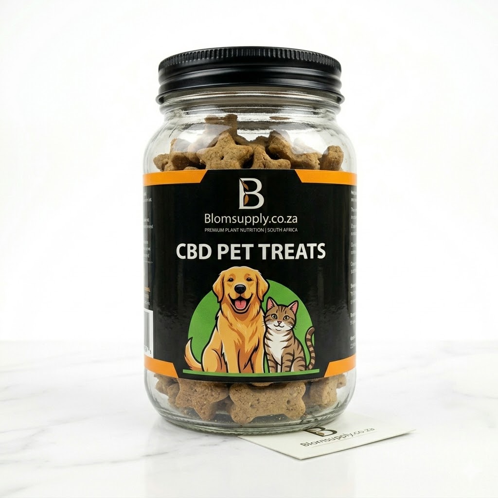 CBD vs Melatonin for Sleep in South Africa — Which Works Better?